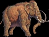 Woolly Mammoth.jpg